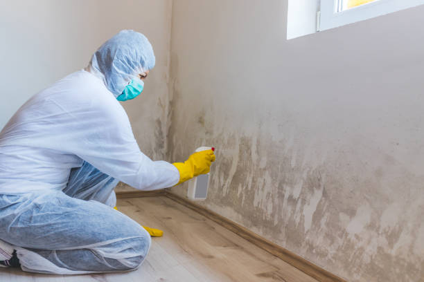 Mold Remediation specialist working in Leland